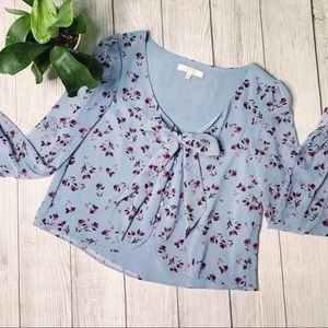 Periwinkle cottagecore crop bow blouse